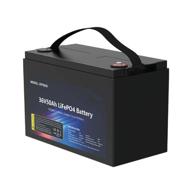 Batteria solare al litio ricaricabile LiFePO4 12V 24V 36V